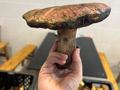 -草墩罗非鱼庄•野生菌•腊排骨(七星街上段店)