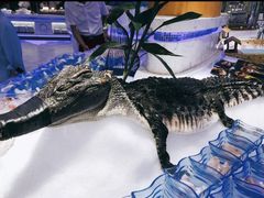 -澜悦港海鲜体验主题餐厅