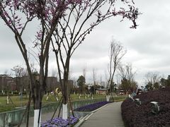-天府芙蓉园
