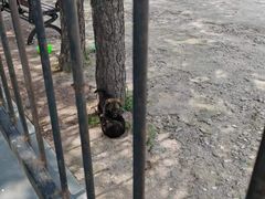 -北京十三陵国家森林公园蟒山景区
