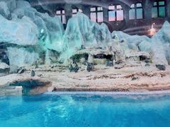 -帝企鹅自助餐厅•儿童岛•真企鹅(长隆企鹅酒店)