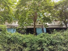 -济南轻骑摩托车有限公司(和平路)