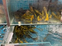 -胖姐渔村(中源大道店)