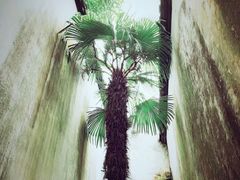 -乌镇东栅景区