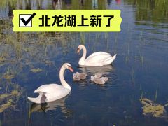 -北龙湖湿地公园