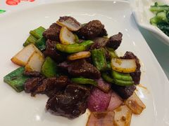 -骏莱海鲜鱼港(五角场店)