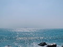 -广东惠东海龟国家级自然保护区