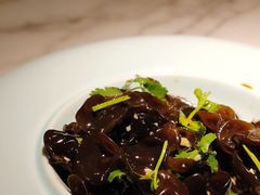 香醋猫木耳-钟菜·粤菜点心·宴请(海上世界·汇港二期店)