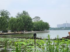 -济南大明湖景区