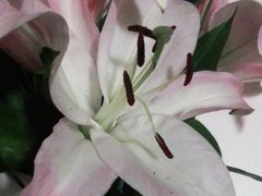 -临界音乐酒馆·小龙虾·江湖菜(华熙LIVE·鱼洞店)