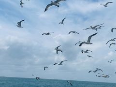 -海驴岛(荣成市)