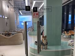 -怪兽屋·羊驼·猫咖·狗咖(俊华广场店)