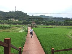 -红山村
