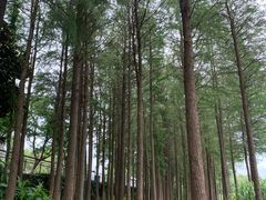 -苏州太湖湖滨国家湿地公园