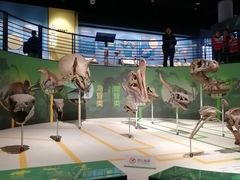 -国家自然博物馆