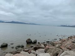 -深圳湾公园(南山区)