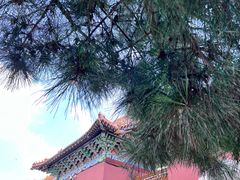 -北陵公园