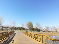 -东郊湿地公园