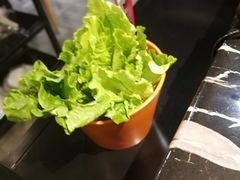 生菜-古乐牛香·鲜牛肉牛杂火锅(五一中路店)