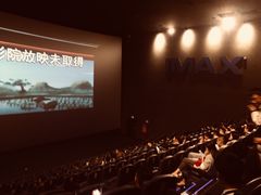 -CGV影城(壹方城IMAX店)