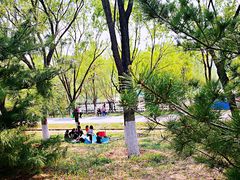 -永定河休闲森林公园