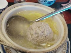 -丁老爷子苏香圆