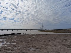 -南汇新城海滩