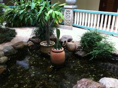 酒店内景-三亚亚龙湾凯莱仙人掌度假酒店