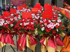 -淘花源花艺鲜花店 开业花篮 绿植(南部商务区店)