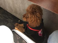 -成都你六姐·牛肉冒菜(城市集市合生汇店)