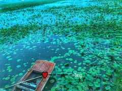 -天津东丽湖风景区