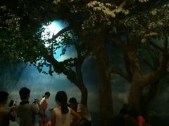 -中国闽台缘博物馆