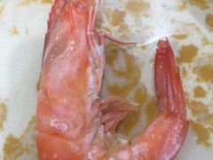活虾-春华海鲜城(广场西苑店)