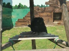 -西霞口神雕山野生动物世界