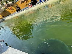 -DGE季风钓虾营地·团建·聚会