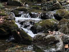 -关门山森林公园