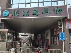 -中环花鸟鱼虫市场