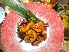 -菌自由丨野生菌火锅特色庭院餐厅(丽江古城店)