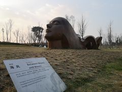 -白鹭湾湿地公园