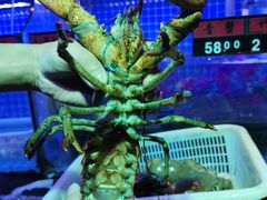 -捞围鲜·港式打边炉(海阳路店)