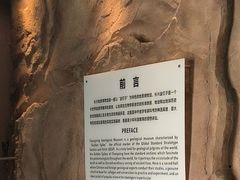-金钉子远古世界景区