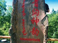 -大青沟风景区