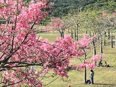 -风云岭森林公园