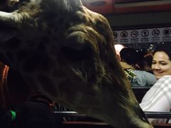 -清迈夜间动物园