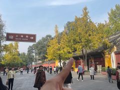 -洞子口张老二凉粉(文殊院店)