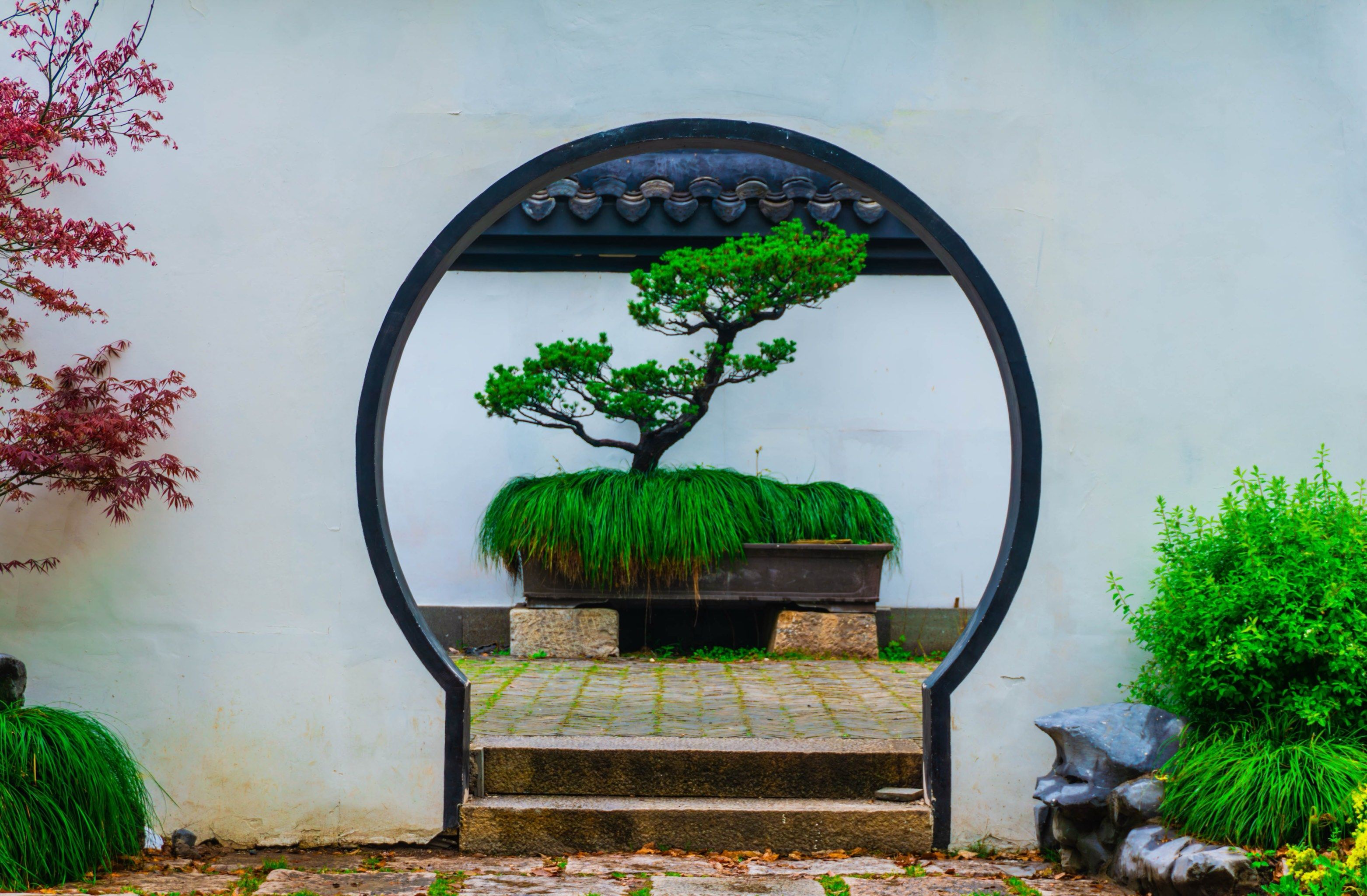 莫奈花园 
#森林百花展 
#森林公园打卡