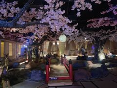 -蓝鲸湾汤泉(包河店)