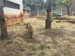 -昆明动物园