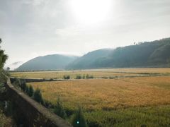 -南泥湾风景区