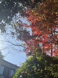 -尚圣月子会所·庄园式月子中心(萧山湘湖店)